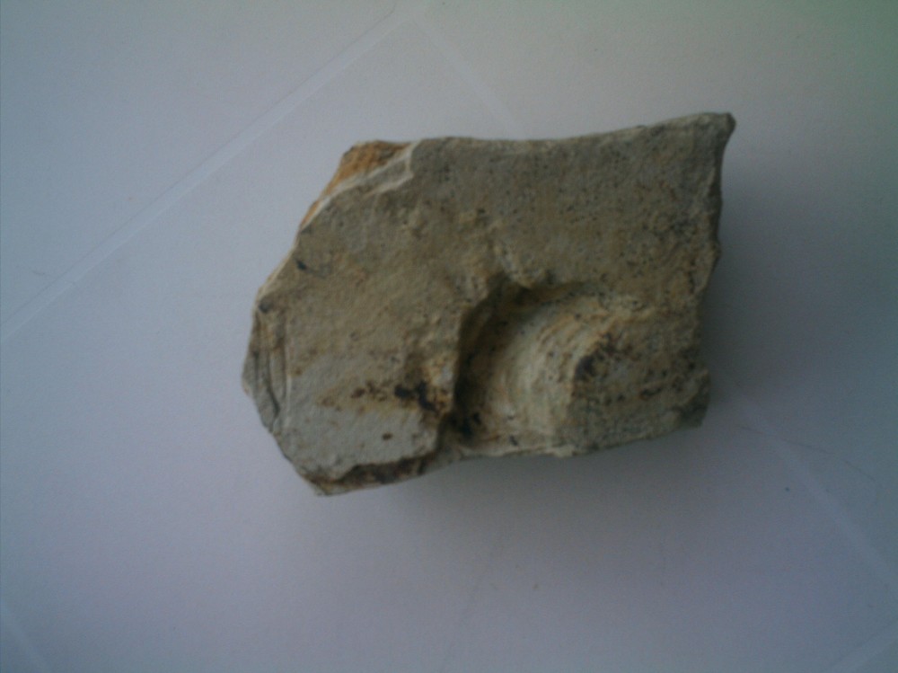 post-4435-1220136550_thumb.jpg