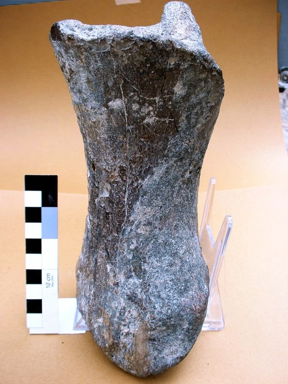 post-4466-1219613244_thumb.jpg