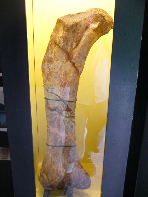 post-3620-1250009509_thumb.jpg