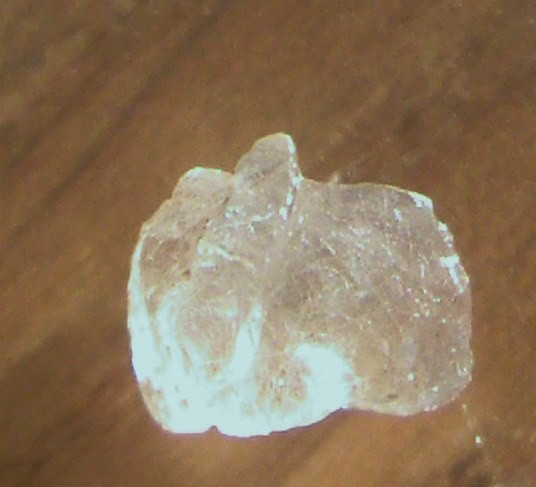 post-8614-1282676529_thumb.jpg
