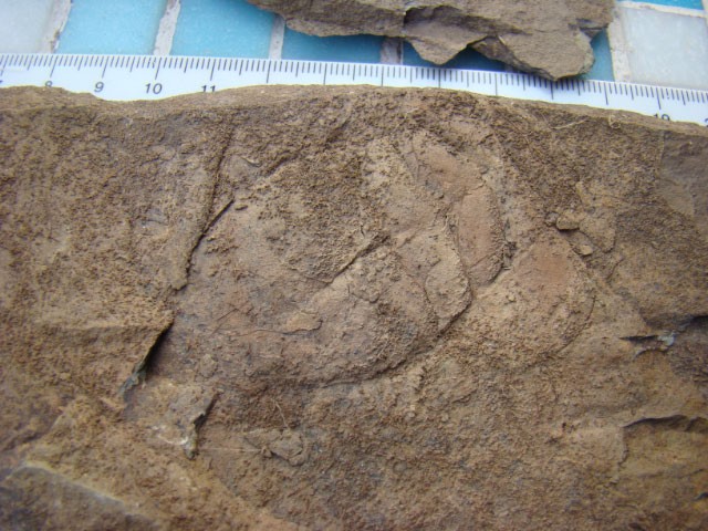 post-1498-1189271666_thumb.jpg