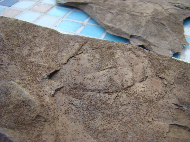 post-1498-1189271829_thumb.jpg