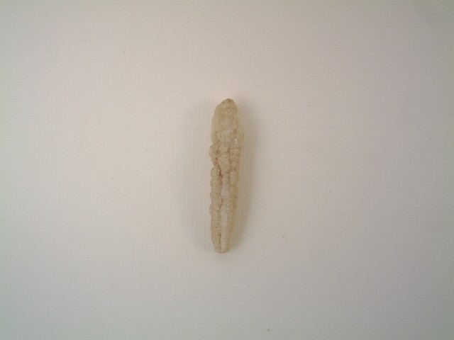 post-2402-1189248179_thumb.jpg