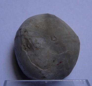 post-2487-1190624277_thumb.jpg
