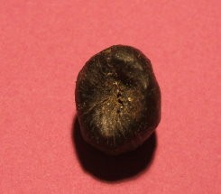 post-730-1190569242_thumb.jpg