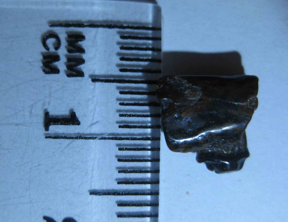 post-4744-1252954456_thumb.jpg