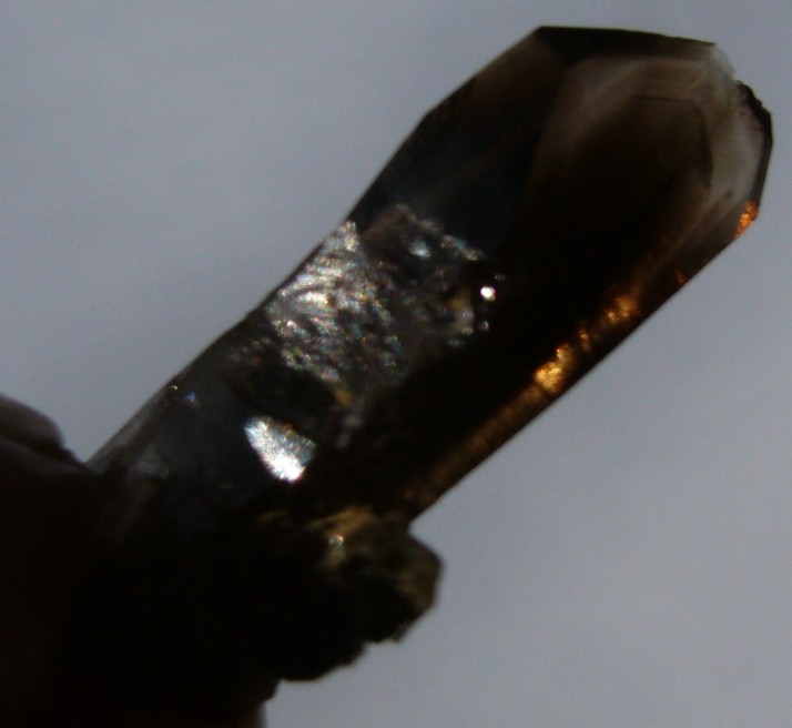 post-684-1191879045_thumb.jpg