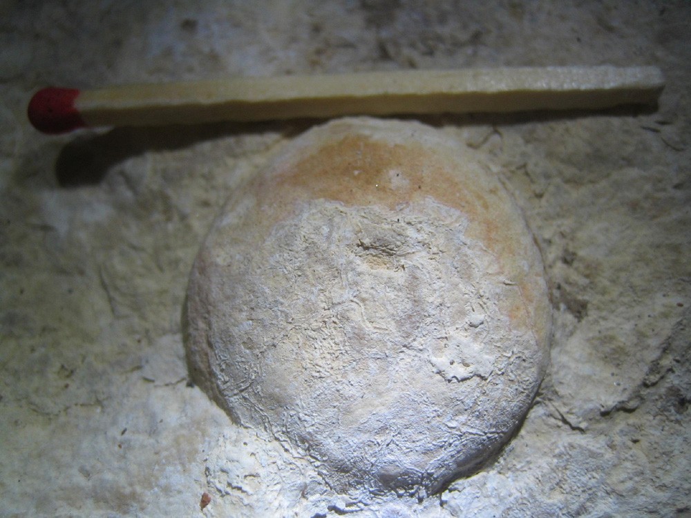 post-6222-1255437712_thumb.jpg