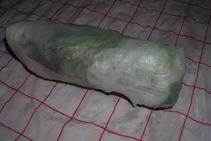 post-1579-1257690688_thumb.jpg