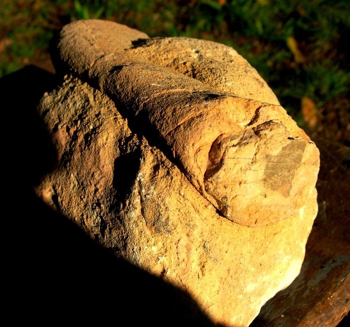 post-3851-1259434363_thumb.jpg