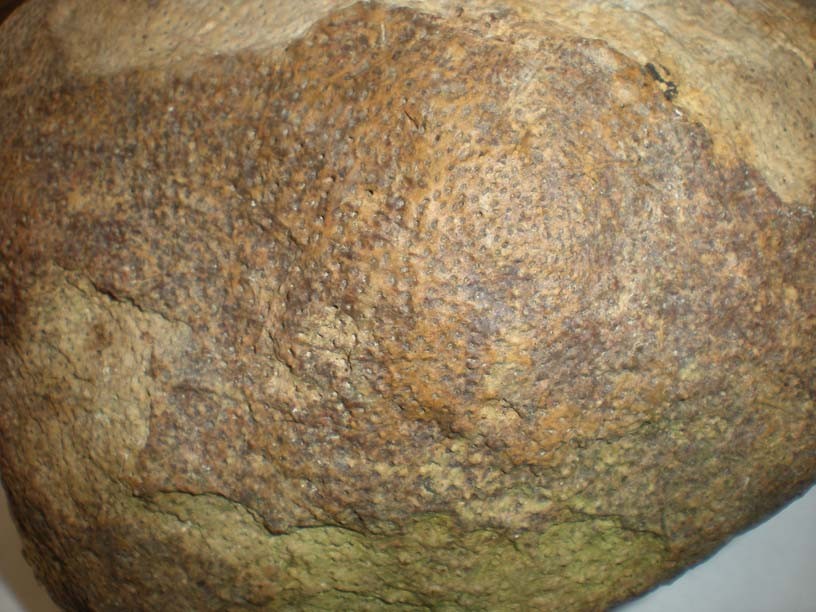 post-7043-1258048244_thumb.jpg