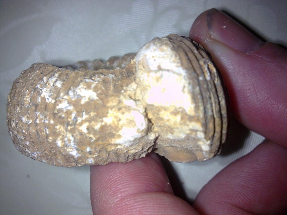 post-10799-0-86771000-1321553232_thumb.j