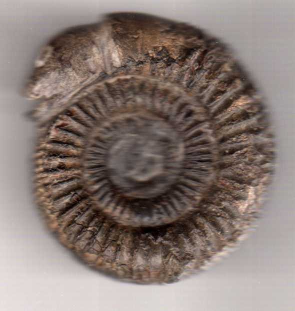 post-28-1229973277_thumb.jpg