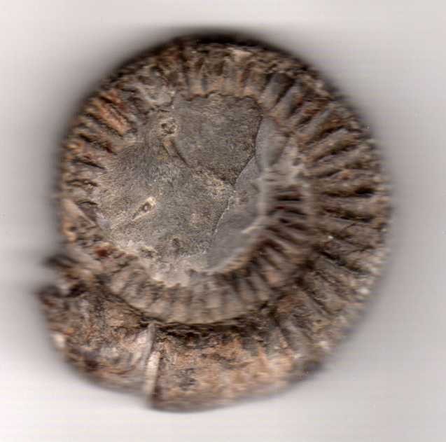 post-28-1229973291_thumb.jpg
