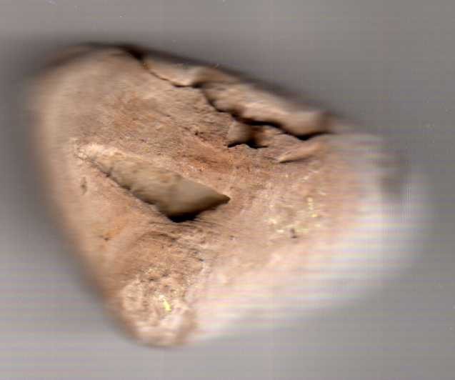 post-28-1229973894_thumb.jpg