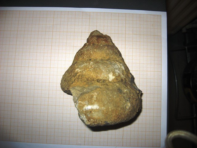 post-4510-1228155631_thumb.jpg