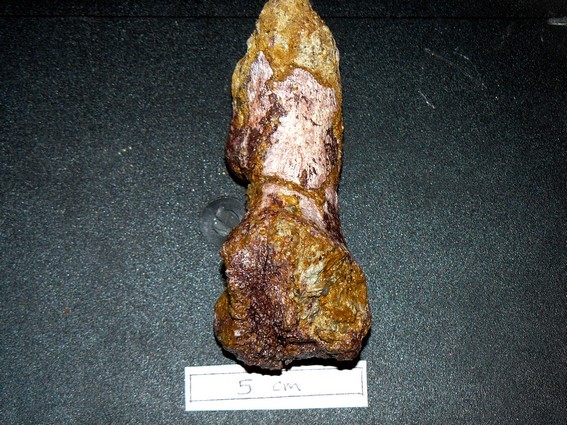 post-1153-1261605502_thumb.jpg