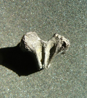 post-129-1261895825_thumb.jpg
