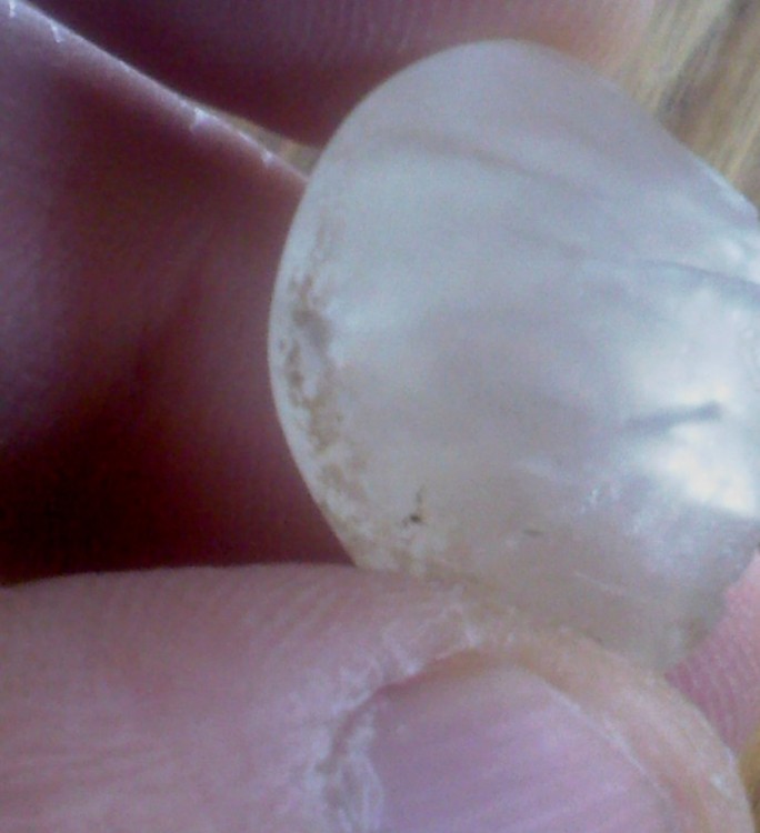 post-5704-1259941493_thumb.jpg