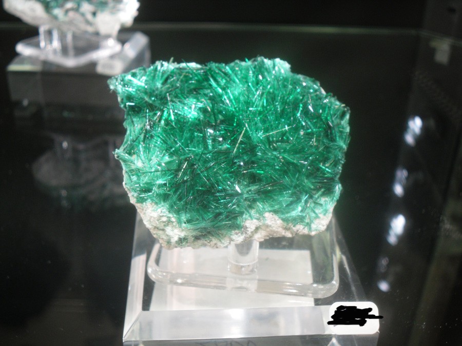 SDC15531-sansprix.jpg