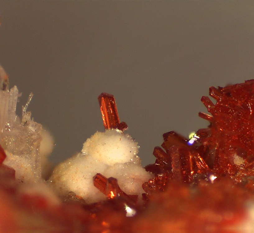 realgar4 30x24 .jpg