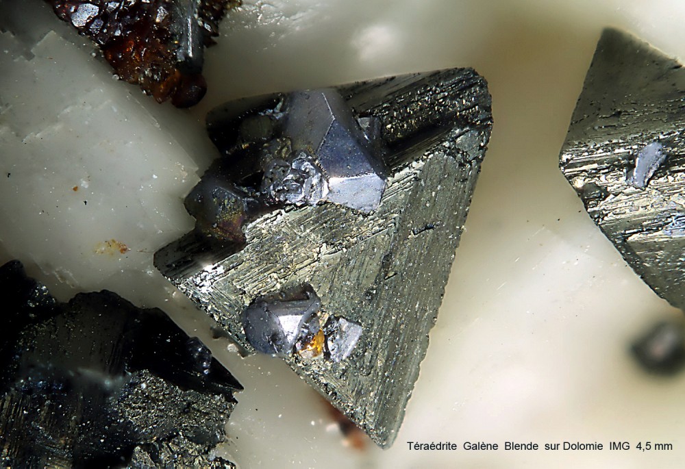 IMG  4,5 mm  Tétraédrite  blende galène sur dolomie  __  0005  0044  __   web.jpg