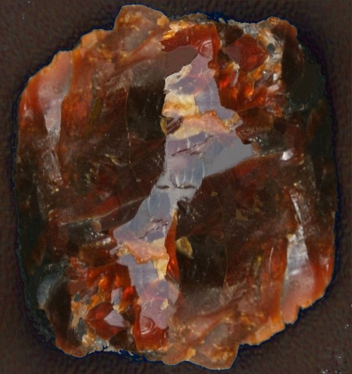 1024px-Ambre_Cénomanien.jpg