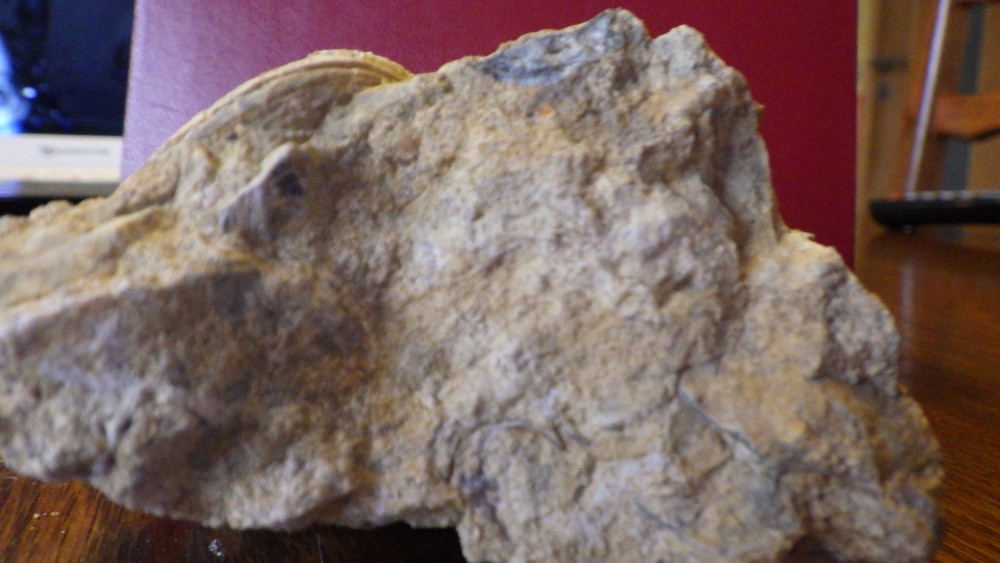 RIMG1572.JPG