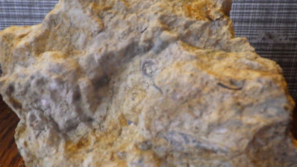 RIMG1585.JPG