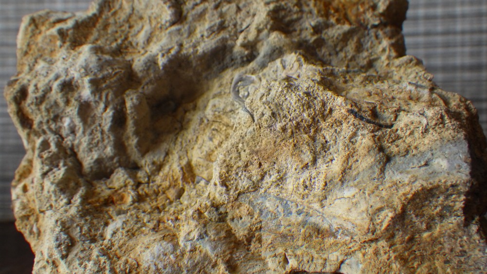 RIMG1607.JPG