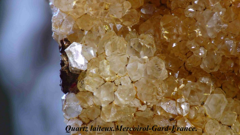 Quartz -de Mercoirol Gard-France.jpg