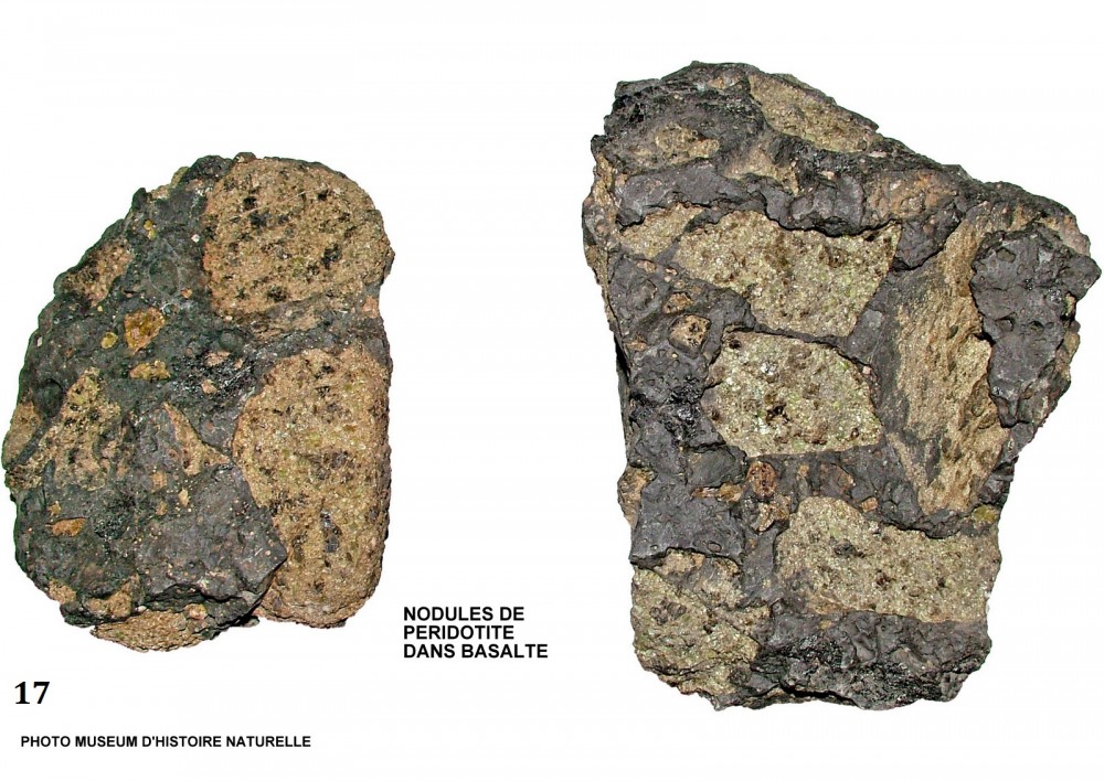 muséum histoire naturelle ,nodule dans basalte.jpg