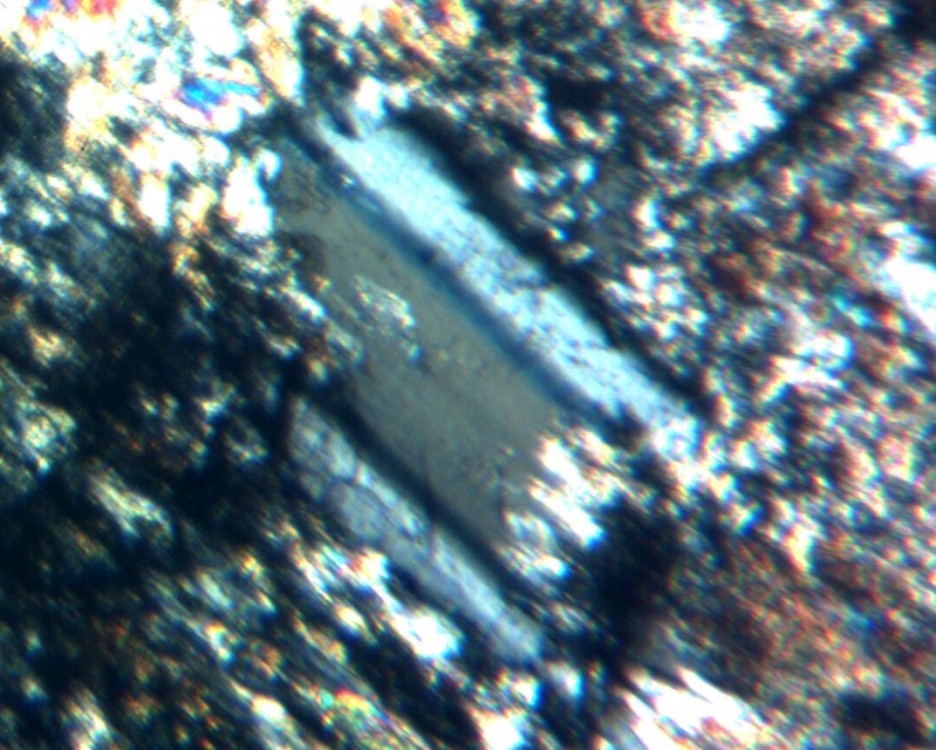 S6.3PA005Ldm.jpg