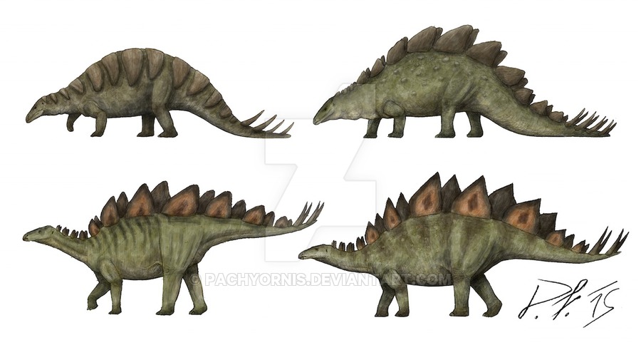from_fat_and_roofed_to_elegant_and_spiky_by_pachyornis-d8honx7.jpg