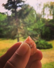 Petite pointe quartz hématoide (03)