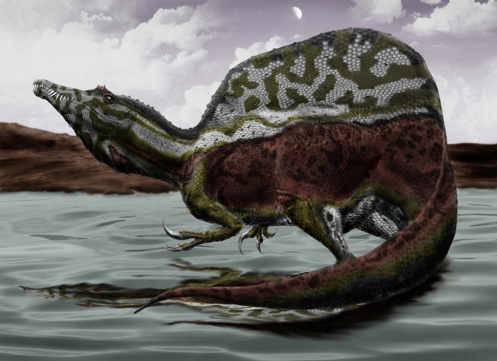 spinosaurus_aegyptiacus_by_durbed-d4r751l.jpg