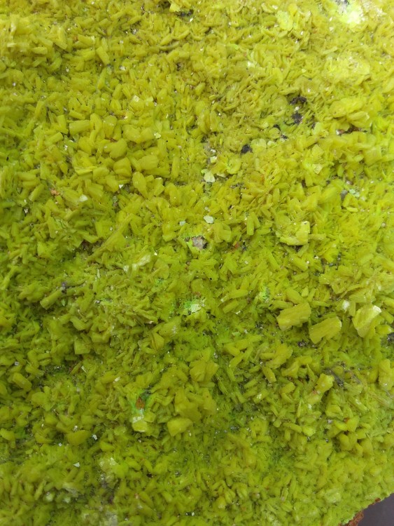 20160605_170251.jpg