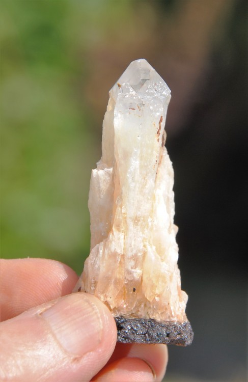 Severac 6 quartz.JPG