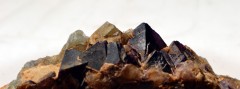 Petits octaèdres de fluorite (La Barre 63)