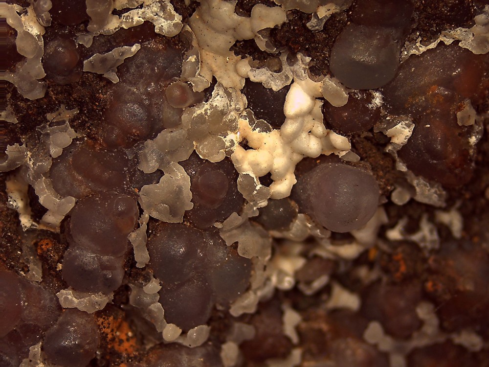 Hydrozincite-smithsonite 2 109x82.jpg