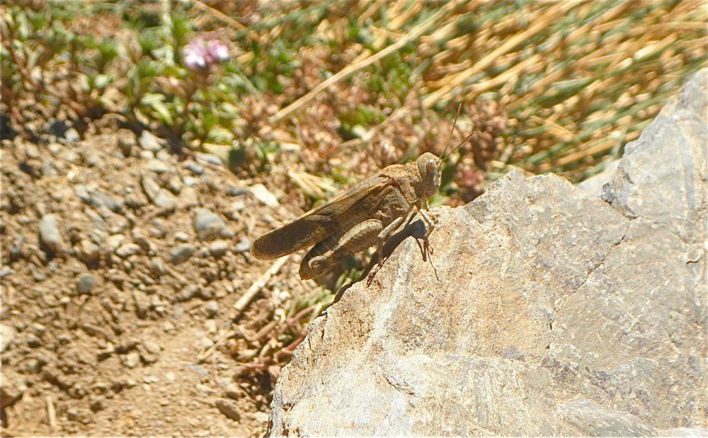 P8070044.JPG