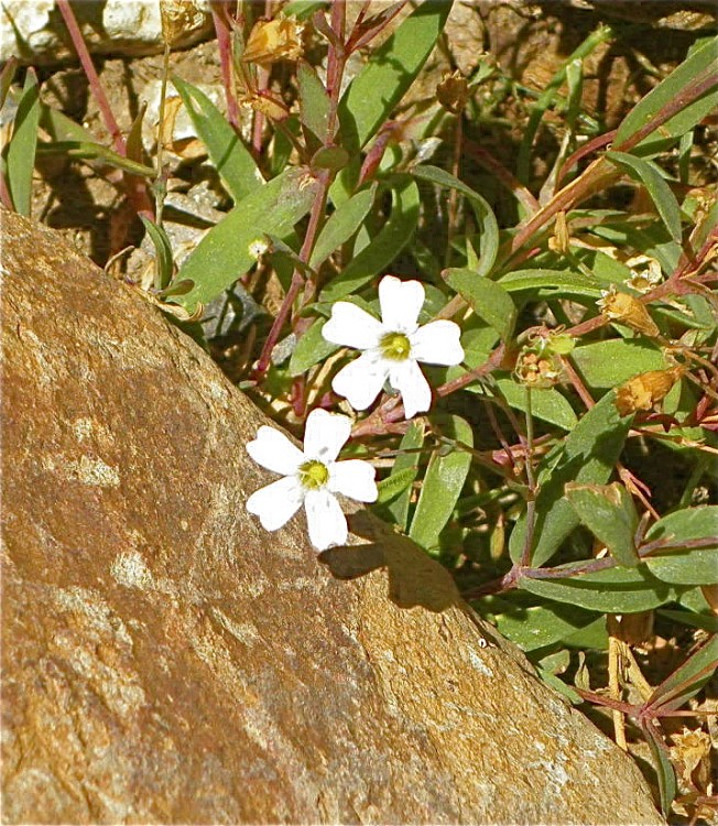 P8250387.JPG