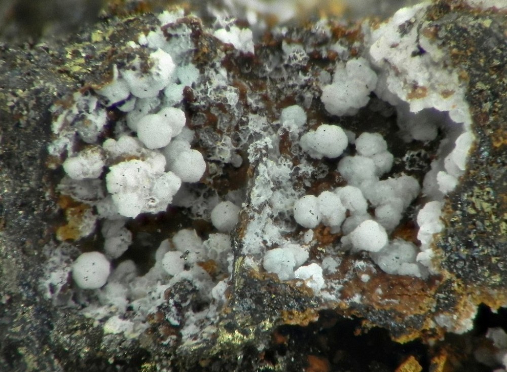 zincowoowardite.jpg