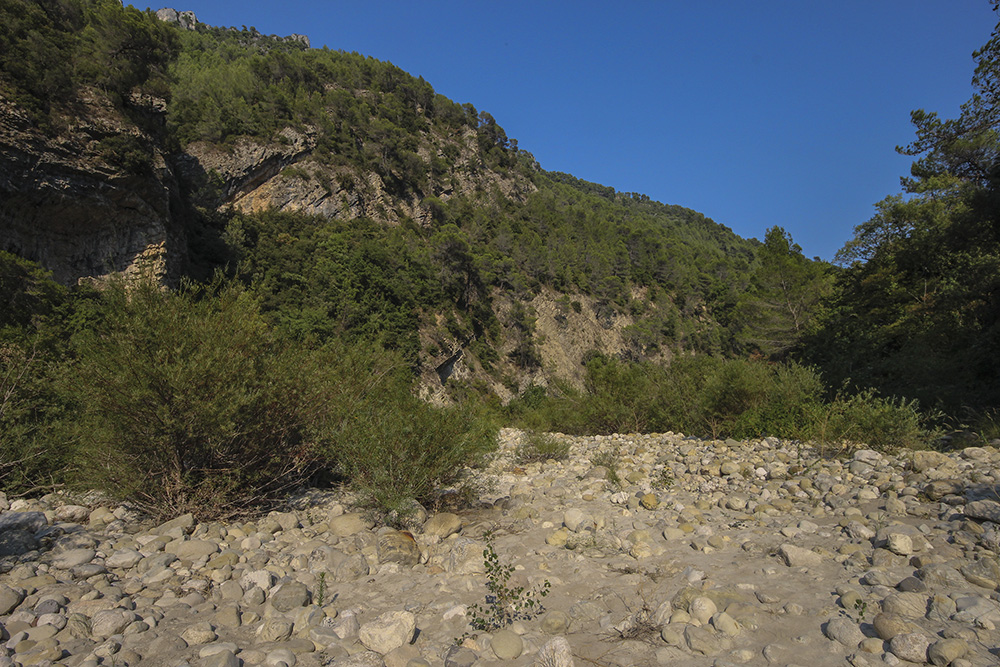 IMG_5401 copie.jpg