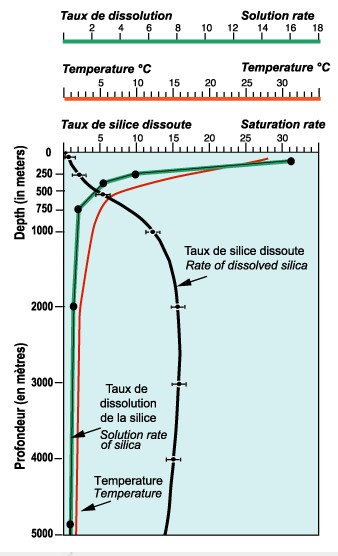 dissolution silice.jpg