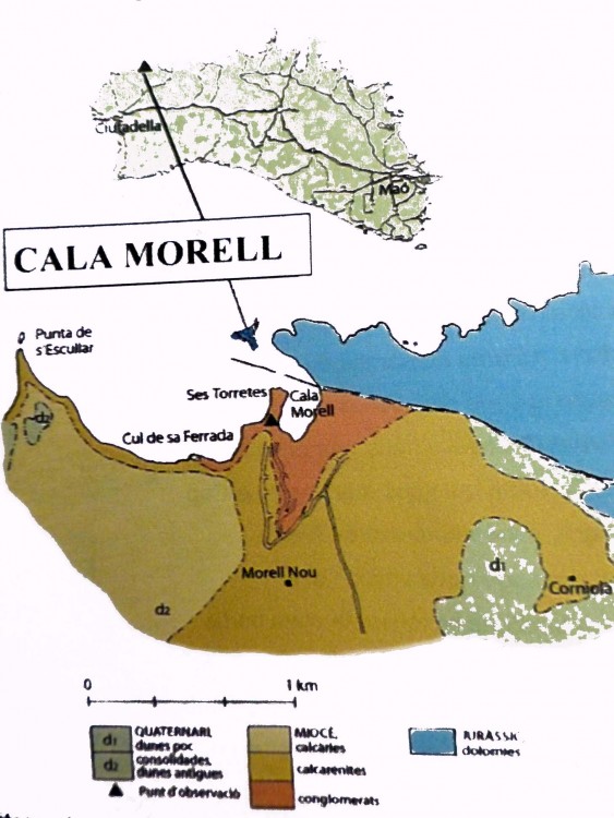 cala M1.jpg