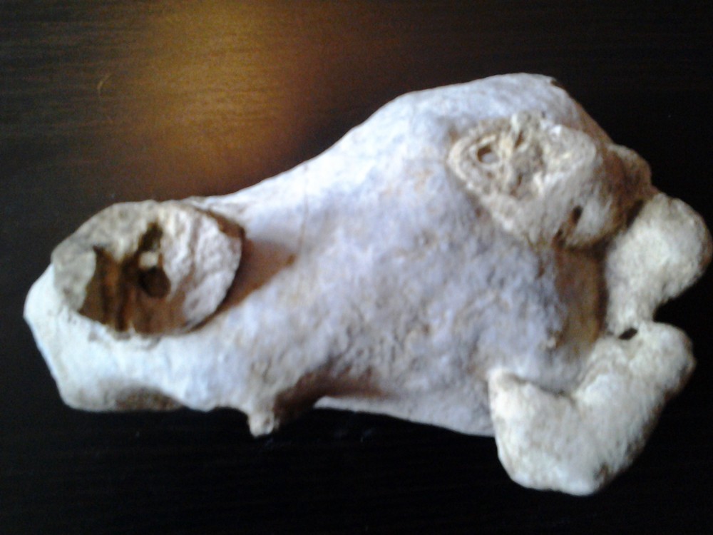 20161013_104109.jpg