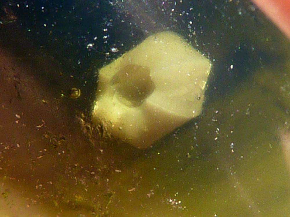 inclusions 6.JPG