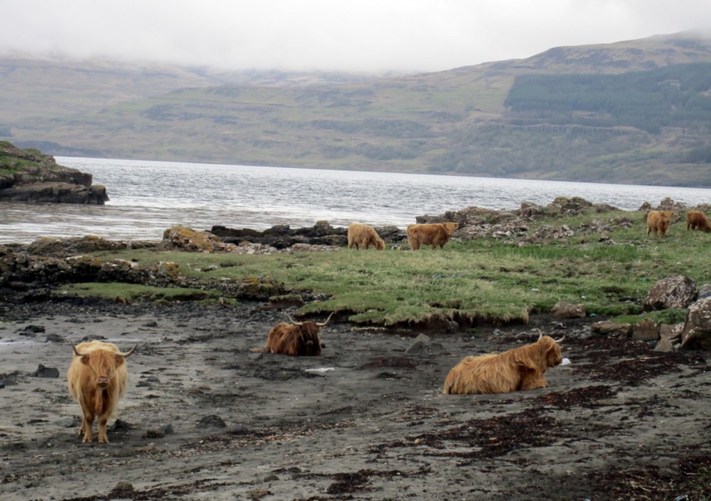 Mull, Loch Schridain.jpg