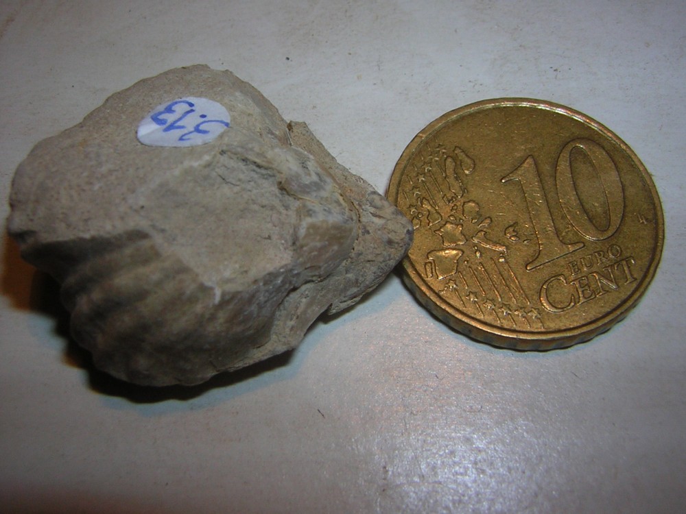 DSCN2108.JPG